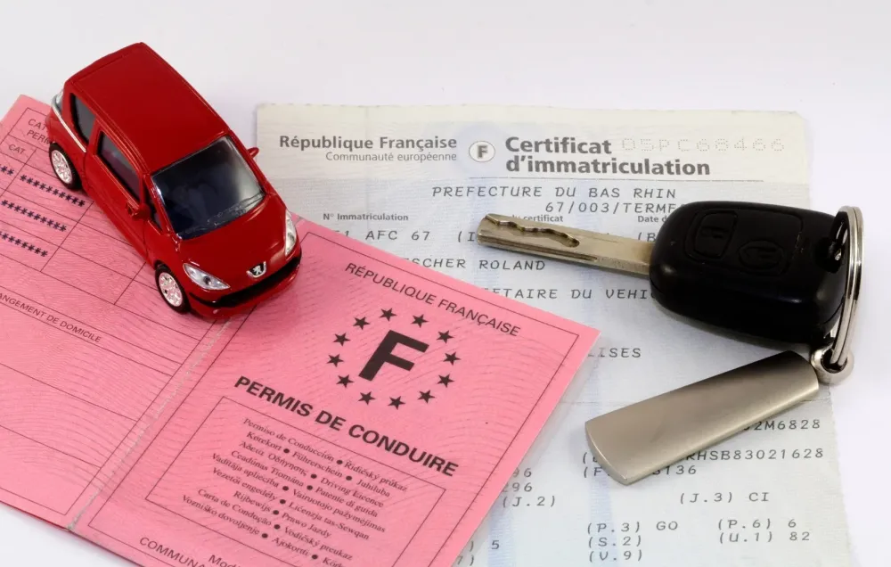 Permis de conduire papier